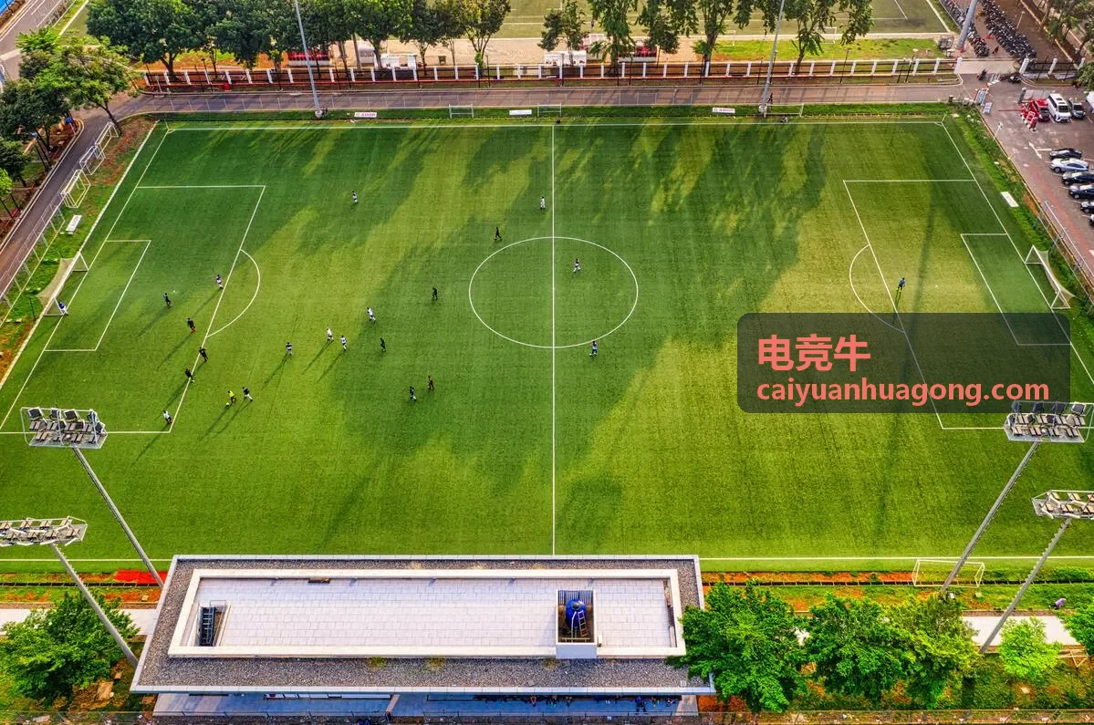 电竞牛竞技背景展示